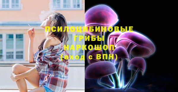 прущий лед Алексин